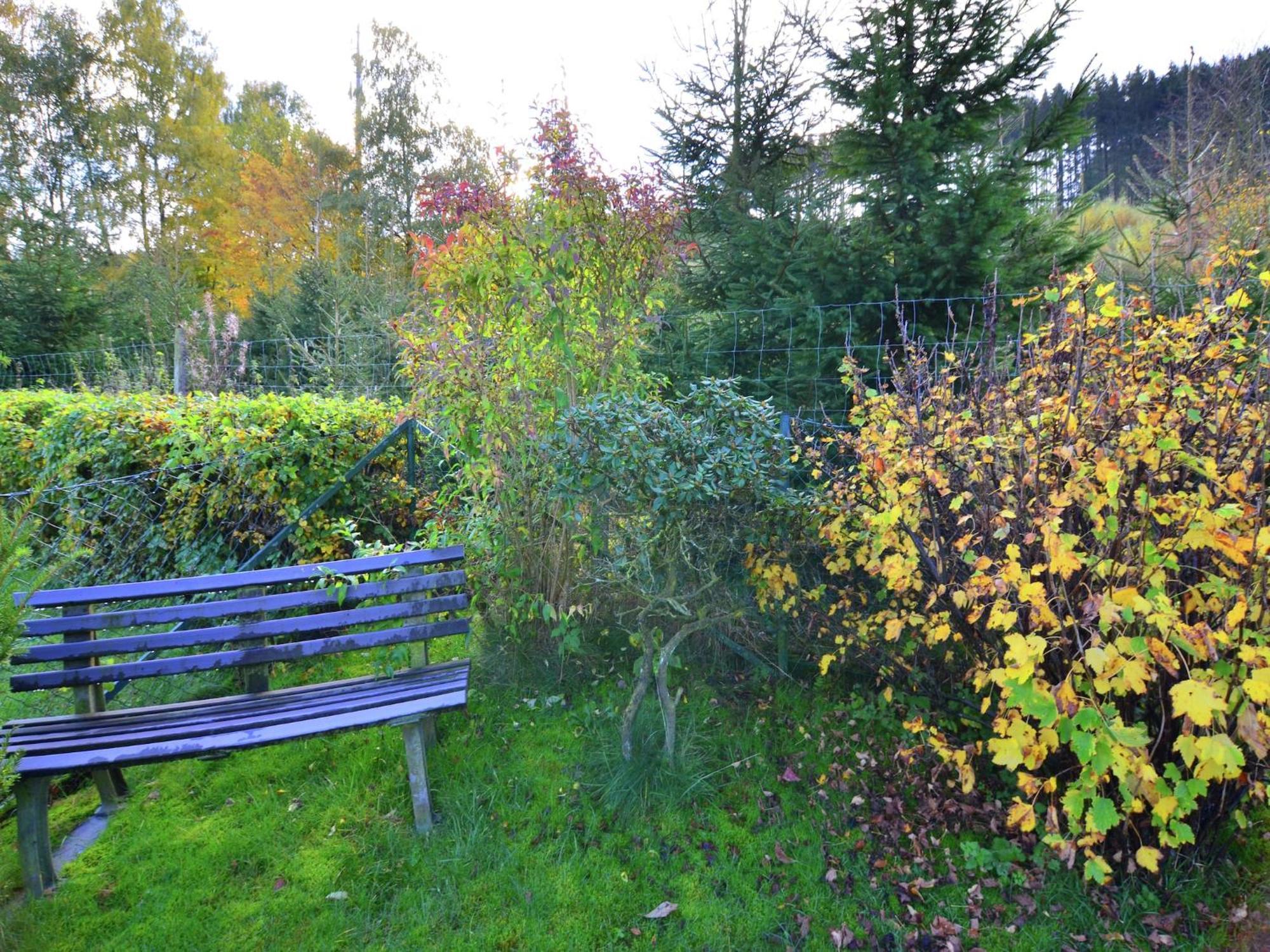 Graceful Apartment In Velmede With Garden Bestwig Exterior foto